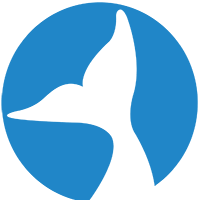 Orca